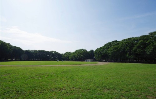 Otakashimadaira-park